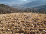 img0188.jpg