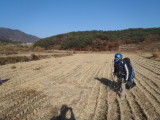img0194.jpg