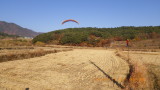 img0195.jpg
