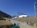 img0198.jpg