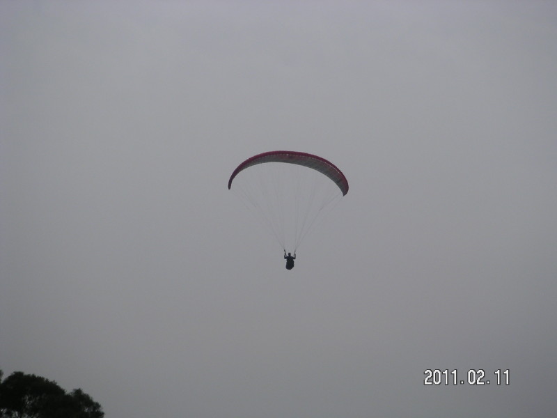 img0115.jpg