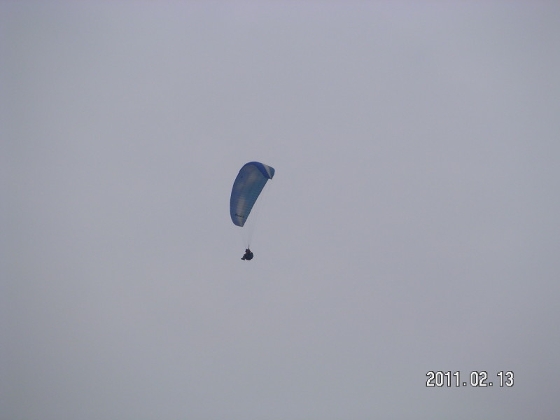img0131.jpg