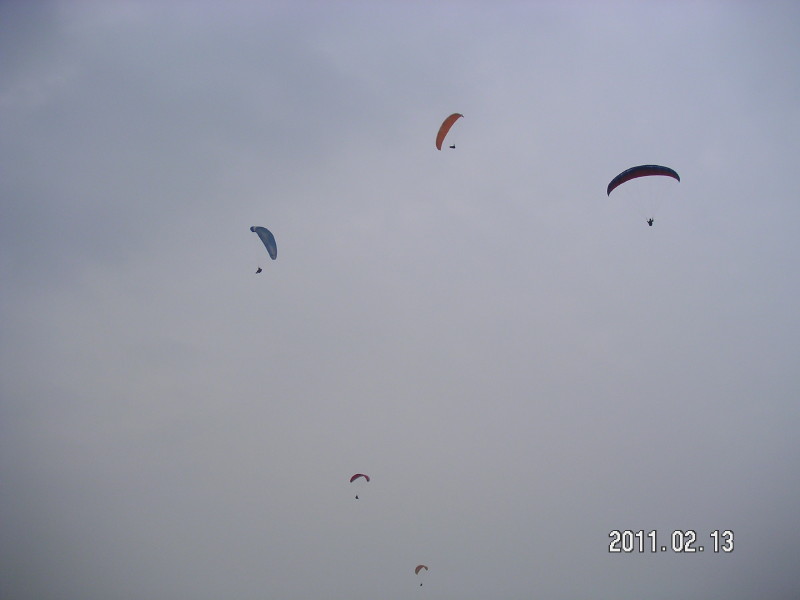 img0133.jpg