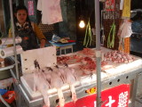 img0013.jpg