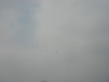 img0028.jpg