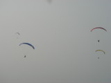 img0059.jpg