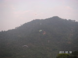 img0111.jpg