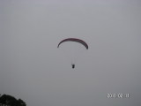 img0115.jpg