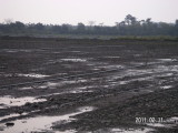 img0121.jpg