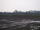 img0122.jpg