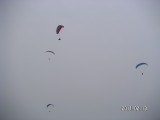 img0129.jpg