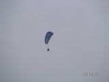 img0131.jpg