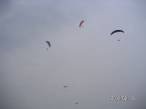 img0133.jpg