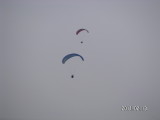 img0135.jpg