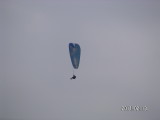 img0136.jpg