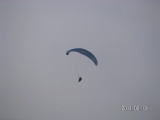 img0137.jpg