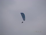 img0139.jpg