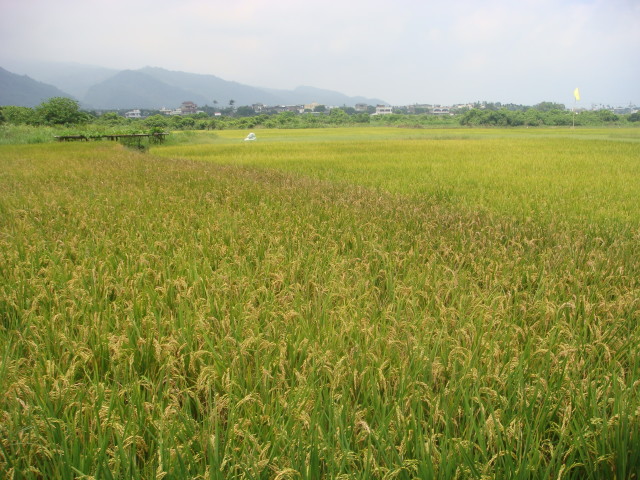 img0006.jpg