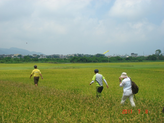 img0009.jpg