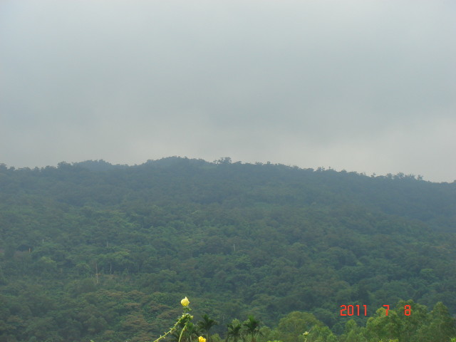 img0010.jpg