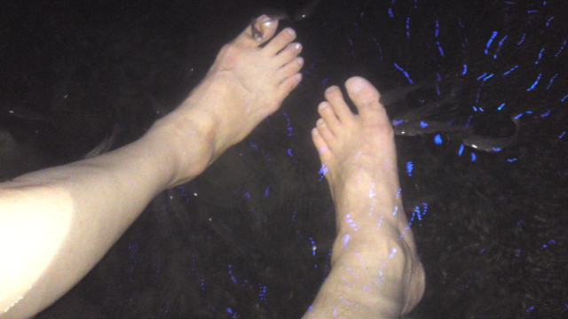 img0070.jpg