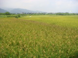 img0006.jpg