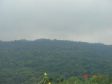 img0010.jpg