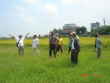 img0011.jpg