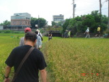 img0012.jpg