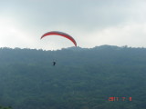 img0037.jpg