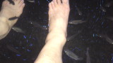 img0071.jpg