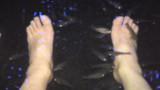 img0072.jpg