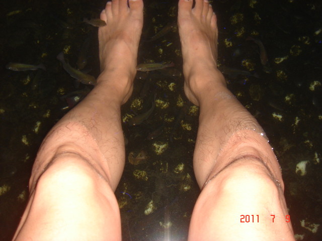 img0084.jpg