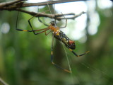img0016.jpg
