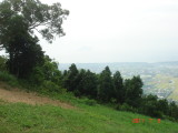 img0019.jpg