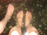 img0076.jpg