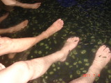 img0078.jpg