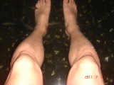 img0084.jpg