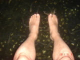 img0085.jpg