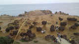 img0021.jpg
