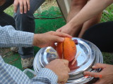 img0064.jpg