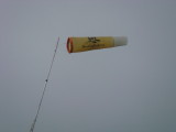 img0098.jpg