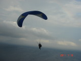 img0113.jpg