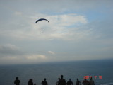 img0115.jpg