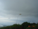 img0116.jpg