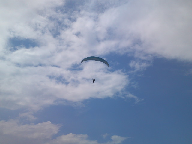 img0037.jpg