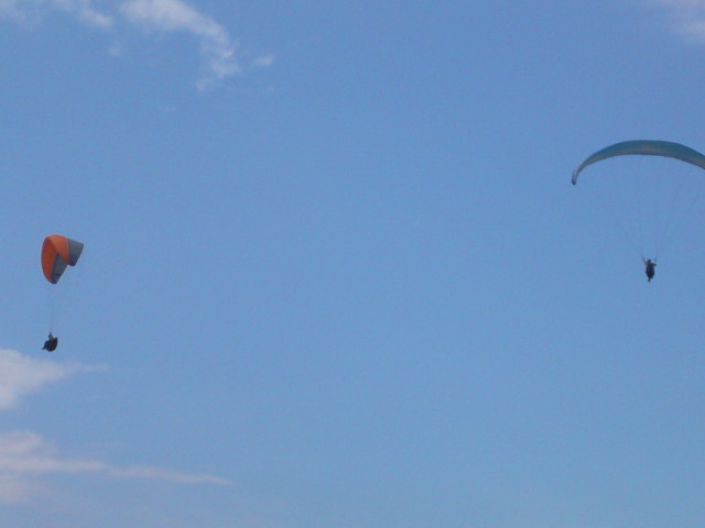 img0039.jpg