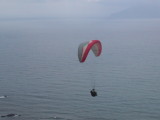 img0041.jpg