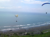 img0050.jpg