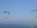 img0061.jpg